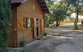 La cabane en bois